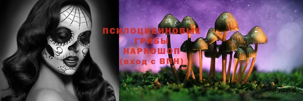 метадон Армянск