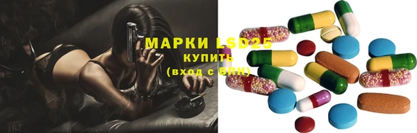 круглые Аркадак