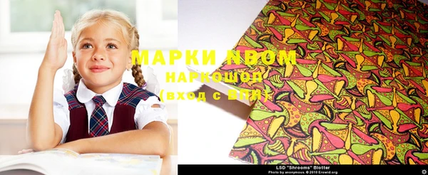 круглые Аркадак