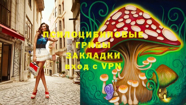 метадон Армянск